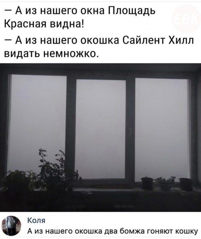 Забавные комментарии из социальных сетей 05.07.21