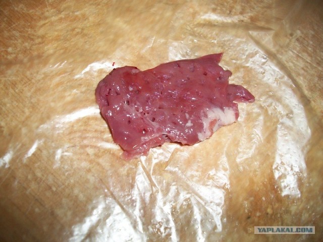 Куриная кардиология