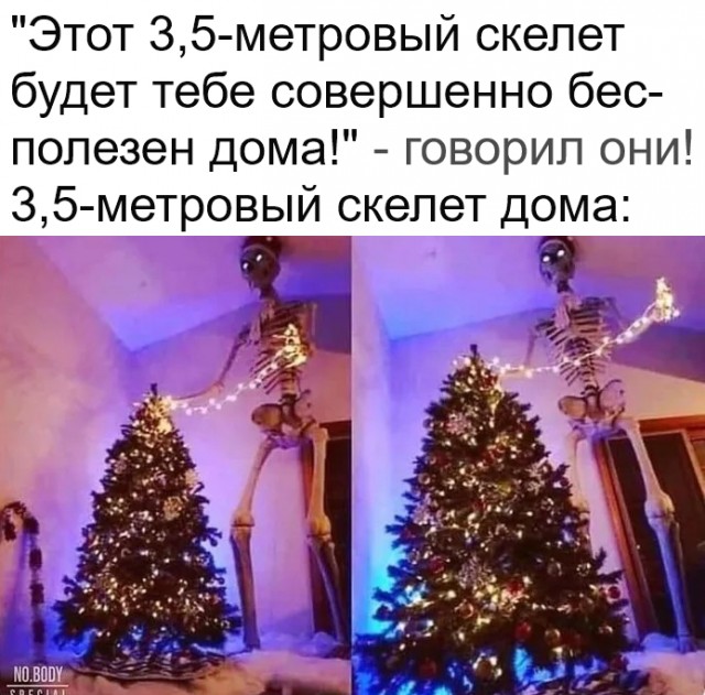 Птички-невелички, налетай