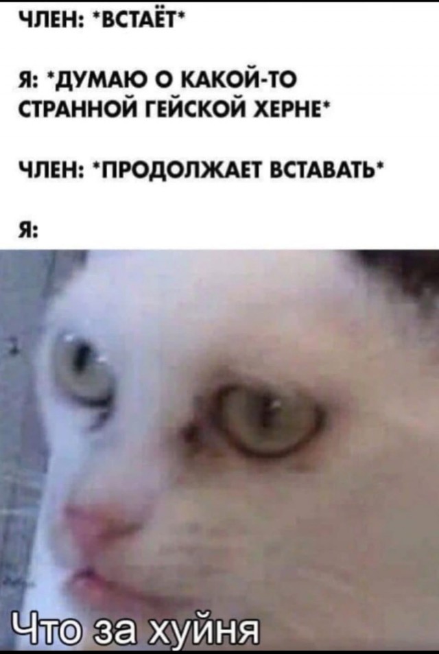 Не очень адекватный юмор