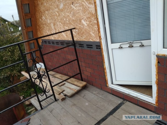 Жизнь домашнего приюта "Котоленд" 304
