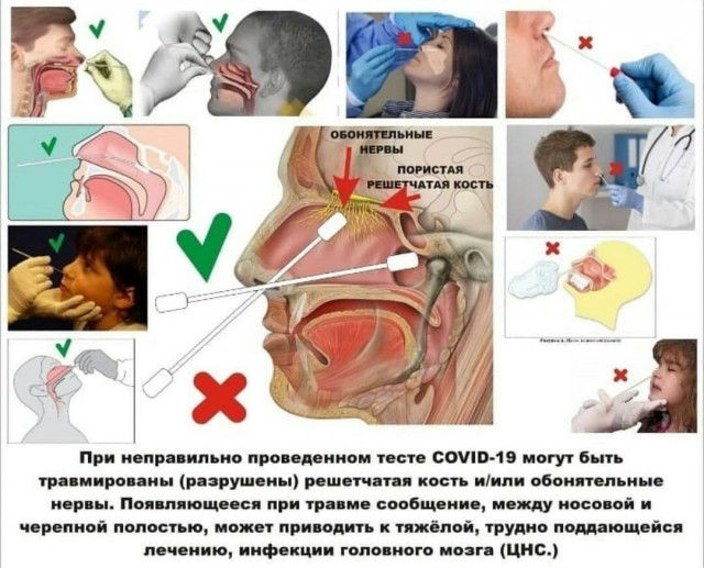 Пандемия. Коронавирус. Россия и мир. Последняя информация. Часть 26