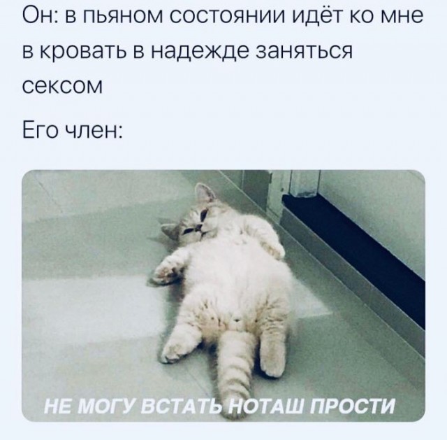 Всяко разные картинки 19.11.2021