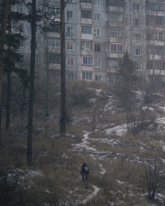 Всяческие картинки 20.12.2021