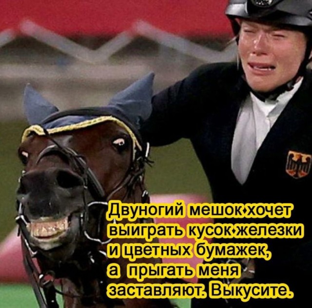 Лошадь притворяется мёртвой каждый раз, когда её пытаются оседлать