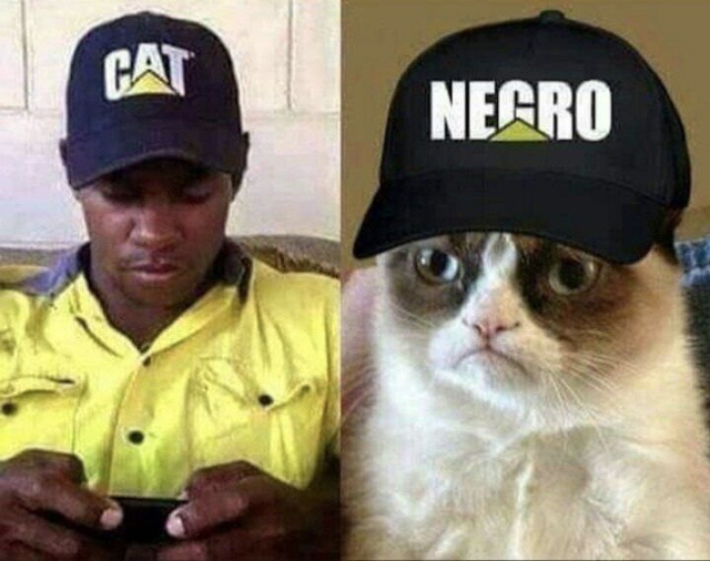 Разбавить политу на ЯП