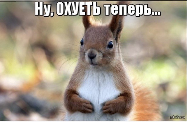 Терпели всю зиму и не какали