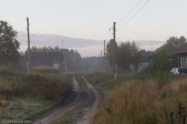 Грибные места