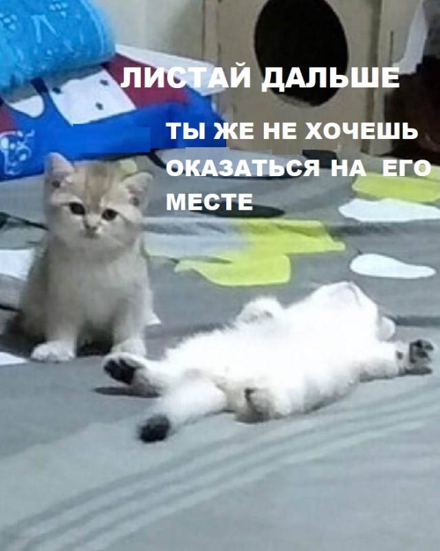 Картинки с надписями и всякие жизненные фразы