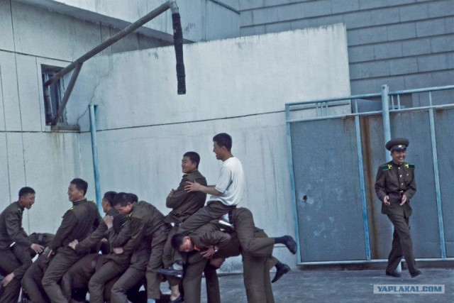 Северная Корея "в цвете"