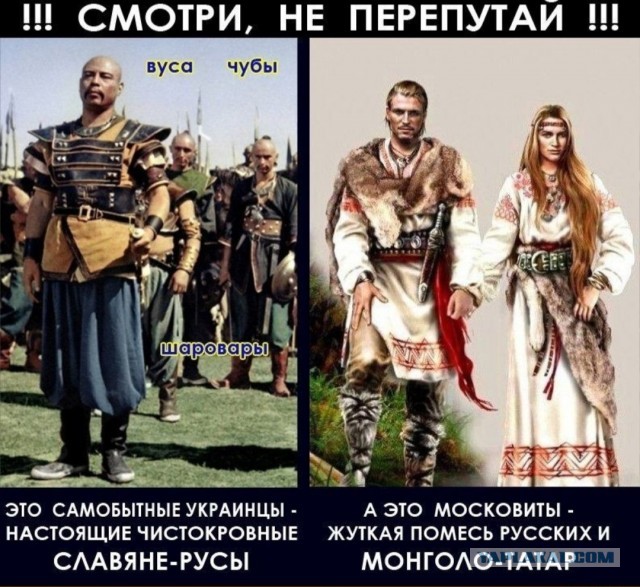 Русской нации нет и вообще русский язык это диалект