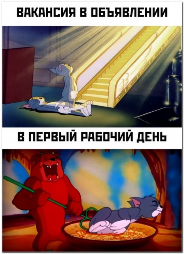 Картинки и мемы для настроения - 125