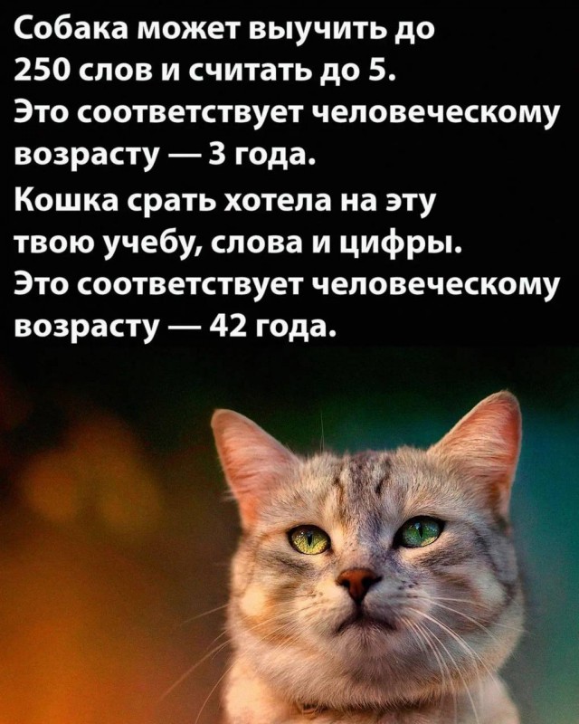 Победная поступь идиотизма по планете – том 4
