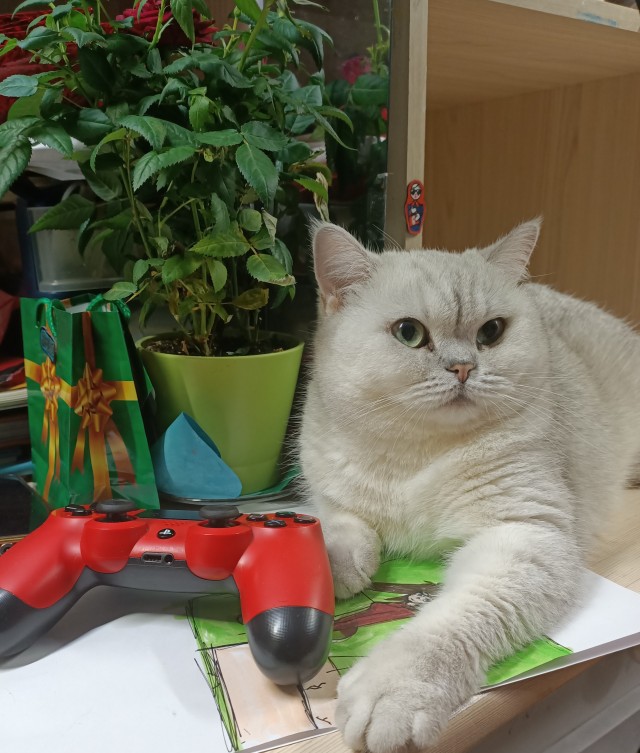 Совпало же? В котовторник