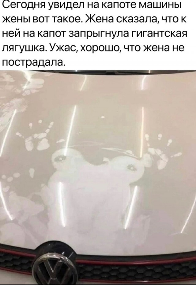 Юмор в картинках и без 12.04