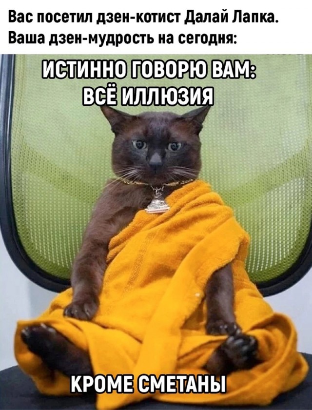 Прикольные и просто красивые картинки 27.06.2023