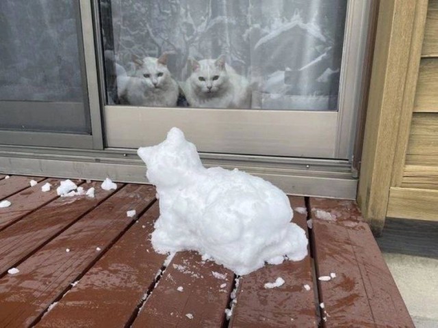 Химия и жизнь