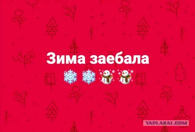 С первым днем зимы!⁠⁠