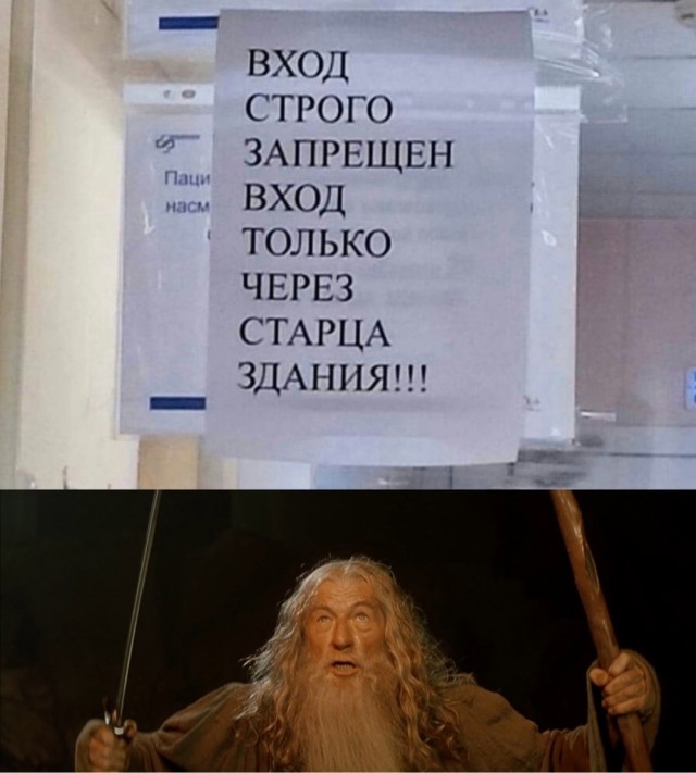 Весёлый полтишок 23.01.24