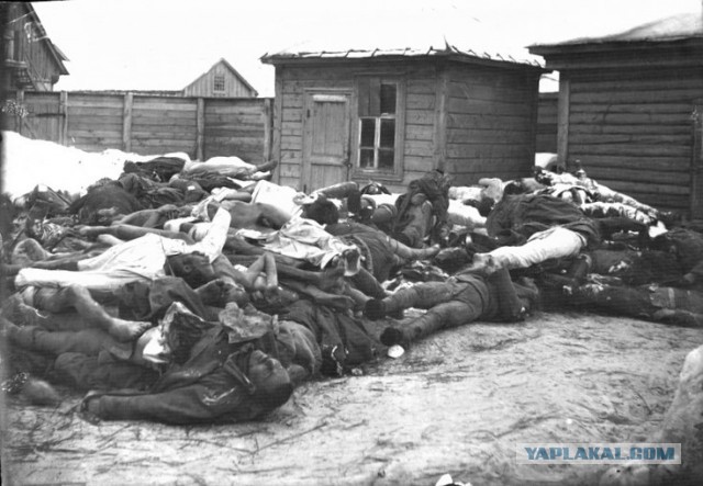 22 января исполнилось 120 лет со дня рождения Аркадия Петровича Гайдара