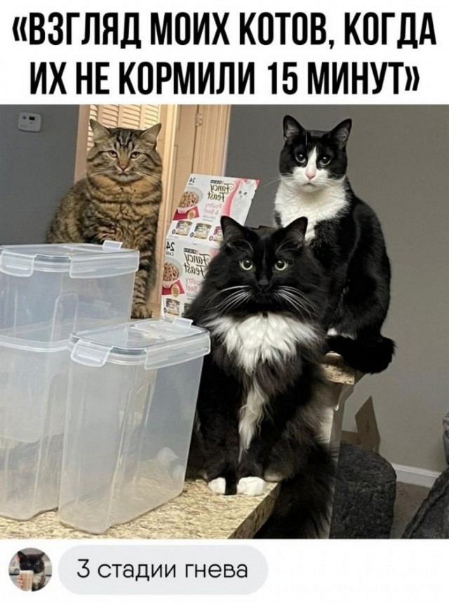 Отряд быстрого деградирования