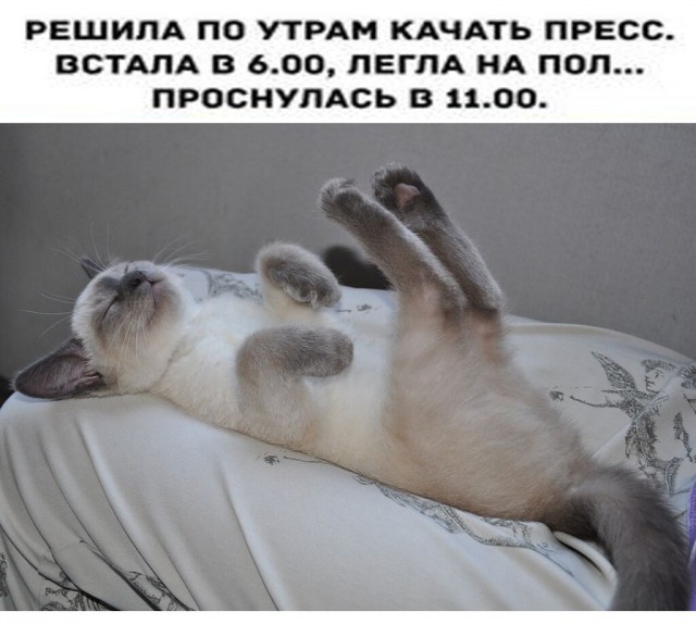Так себе картинки 21.05.24