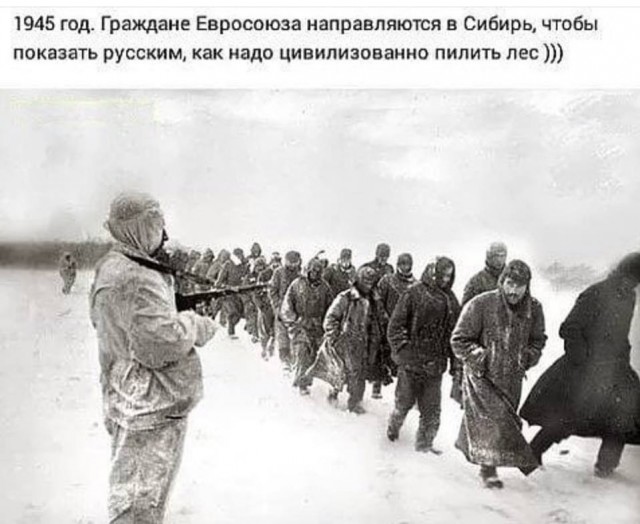 Кнайсль подтвердила ТАСС "планы Запада разделить РФ на части"