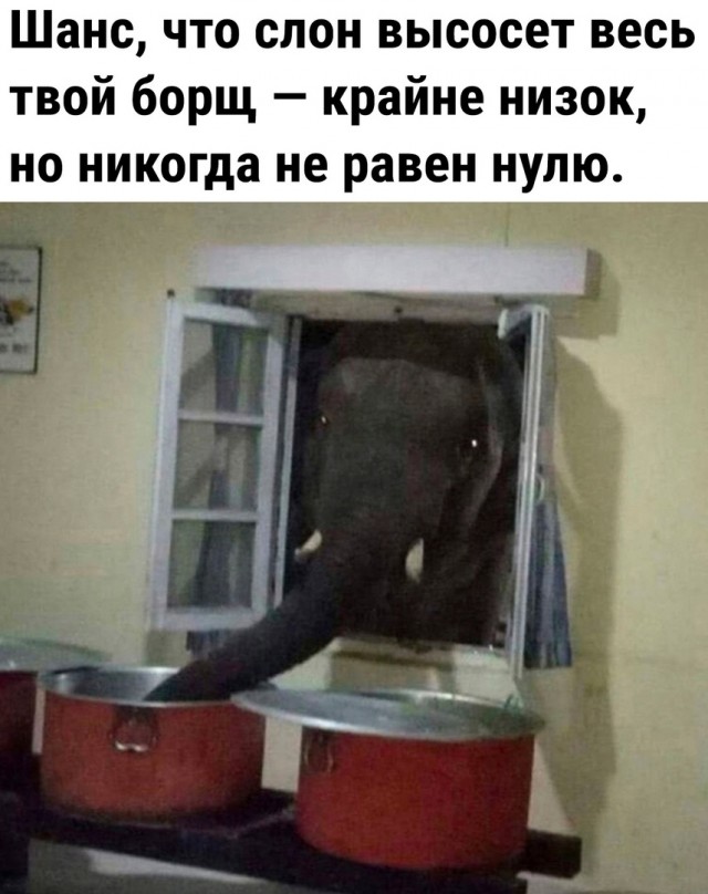 Так себе картинки 15.07.24