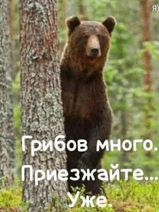 Так себе картинки 26.08.24