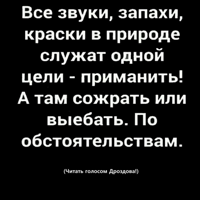 - Давайте я вам переведу