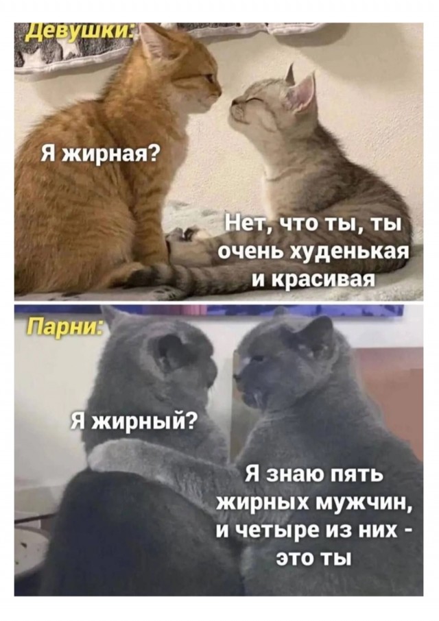 Завалялось тут случайно немного забавных картинок