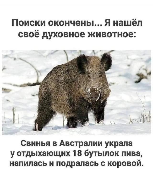 Картинки выходного дня