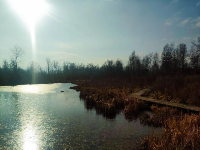 ФотоВинегрет
