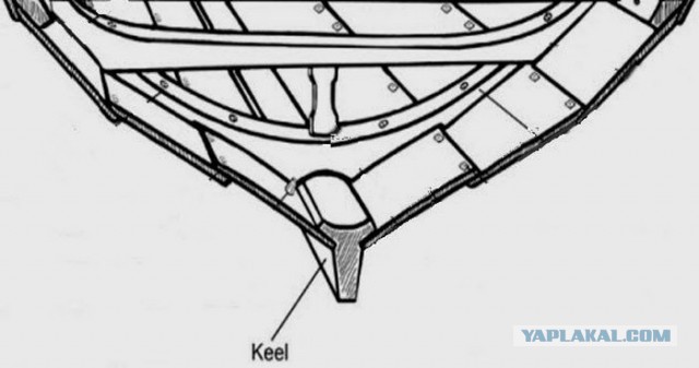 Оно ест... И может отплясывать