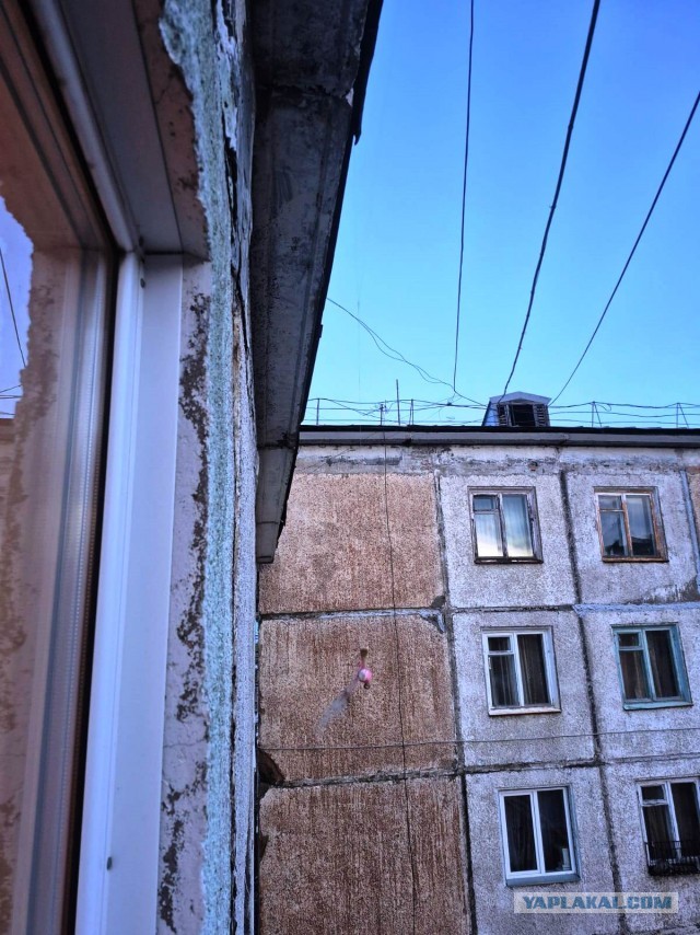 Ведьмина погремушка