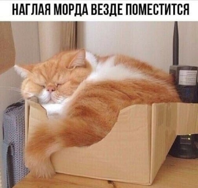 Так себе картинки 06.10.25