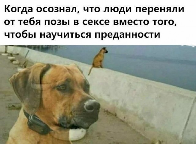 Международная панорама