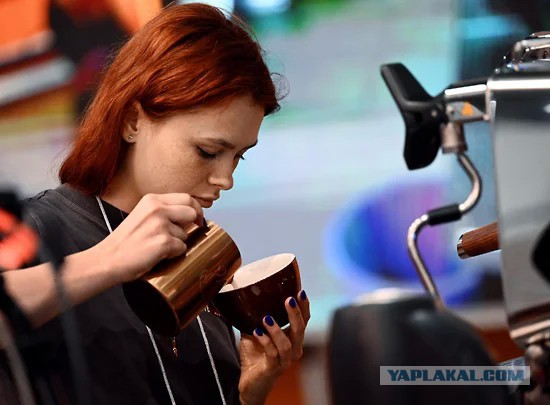 Что будет с ценами на популярные горячие напитки