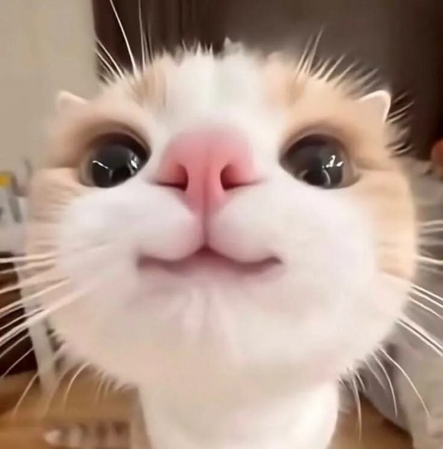 Мелочь усатая