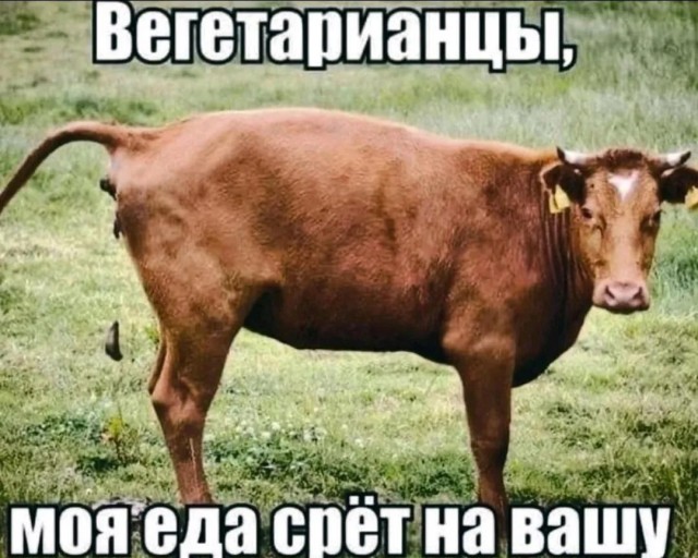 Воскресные картинки