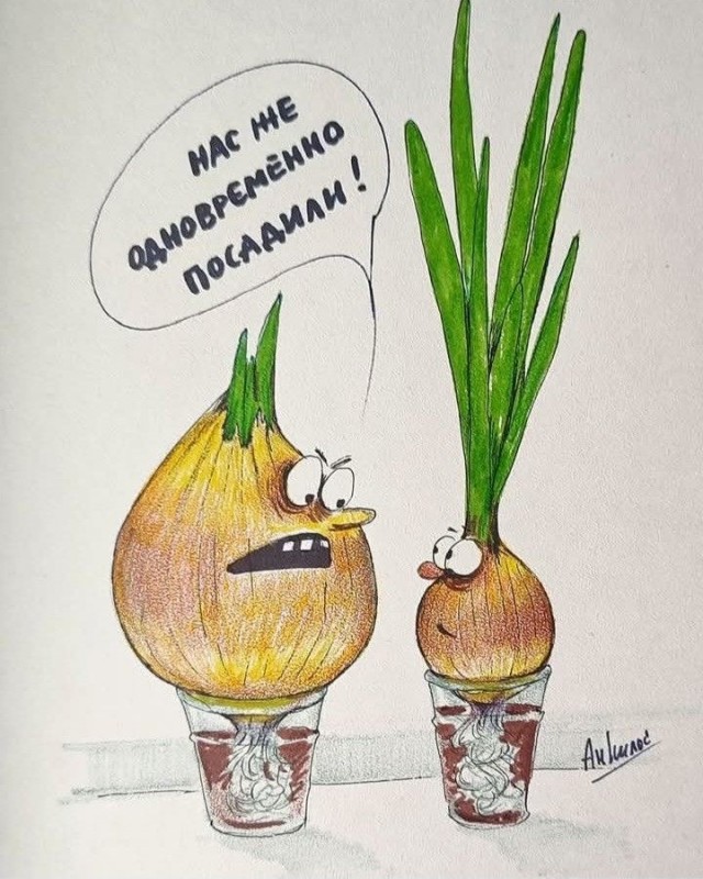 Четверговые картинки