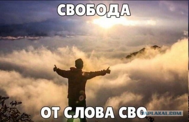 Большинство швейцарцев высказались за «свободу с наличными» в Конституции