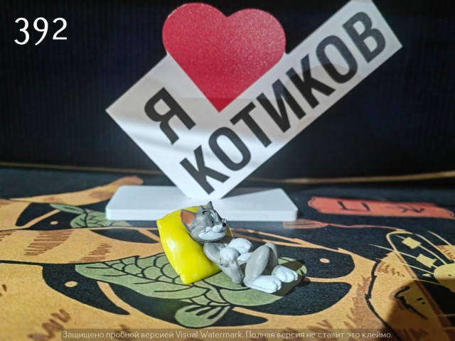Жизнь домашнего приюта "Котоленд" 537