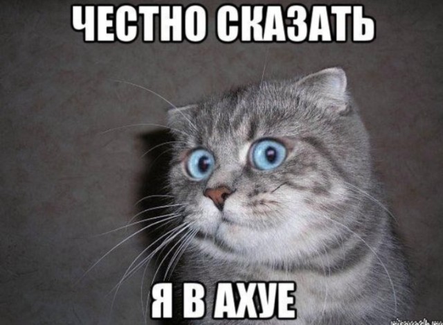 Задумался...