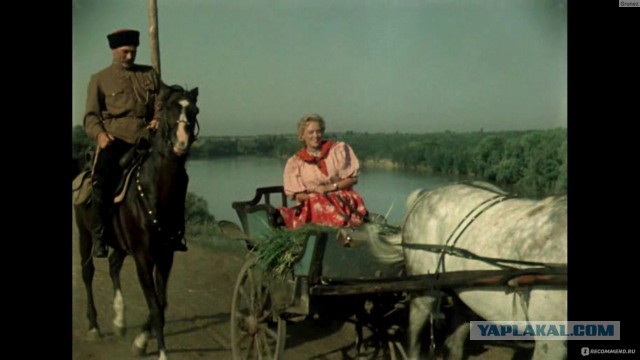 Признаки москвича
