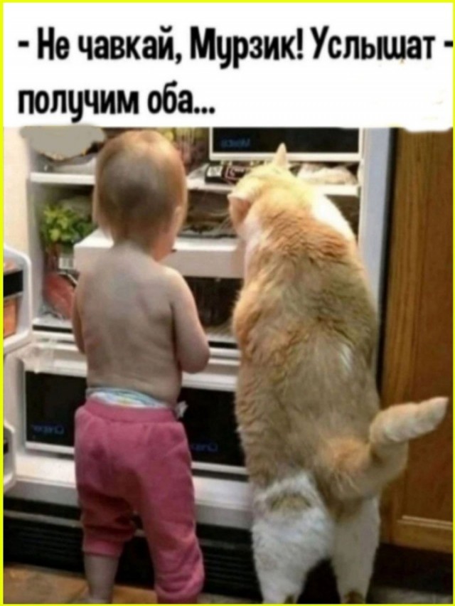 Картиночки, баянчики 01 июля