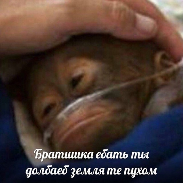 Чёрно-пошлая деградация