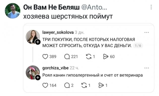 Картинки для деградации 261 (разной степени свежести)