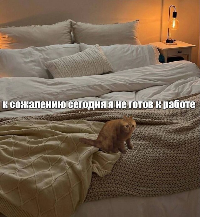 Немного мемасиков