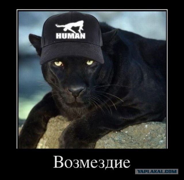 Демотиваторов пост, добавляйте свои